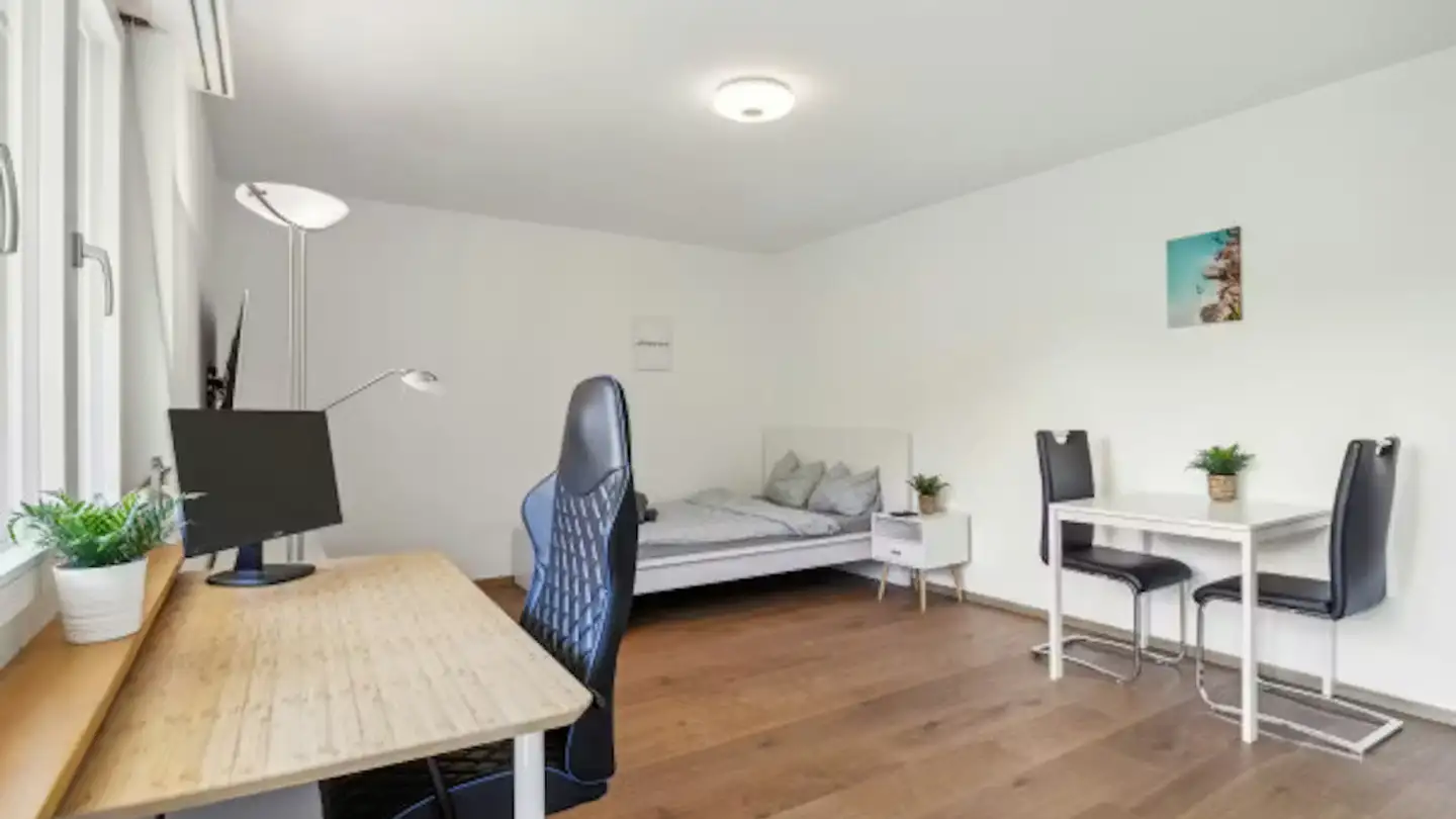 Appartamento in affitto - Birchweg, 8200 Schaffhausen - Foto 2