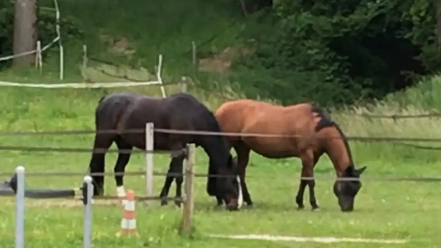 Chambre à louer - 1564 Domdidier - Photo 3