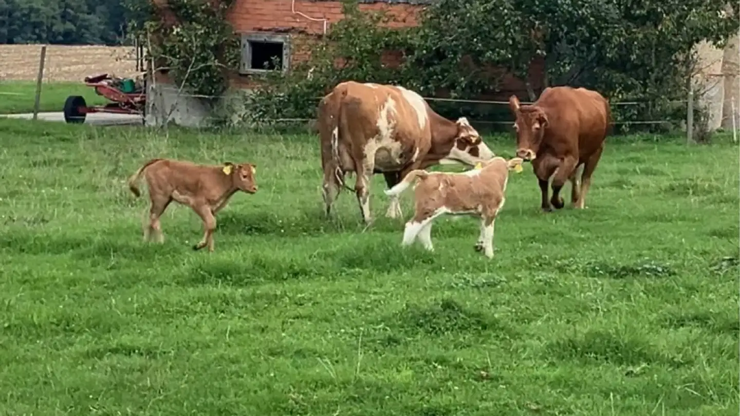 Chambre à louer - 1564 Domdidier - Photo 4