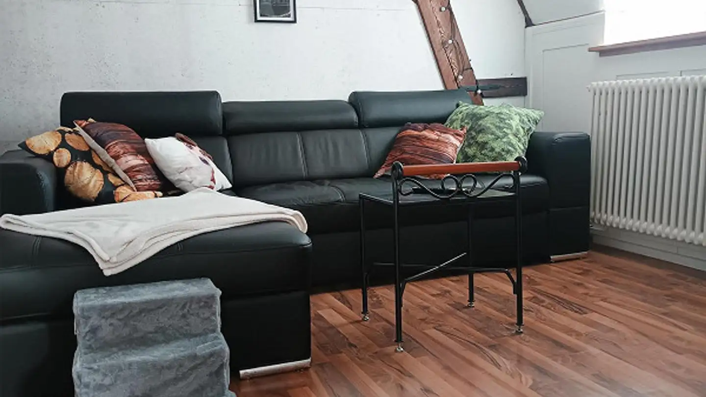 Apartment for rent - Haldenstrasse 12, 8200 Schaffhausen - Photo 2