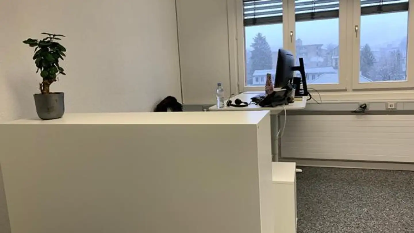 Gewerbe mieten - Bahnhofplatz 10, 8853 Lachen SZ - Foto 3