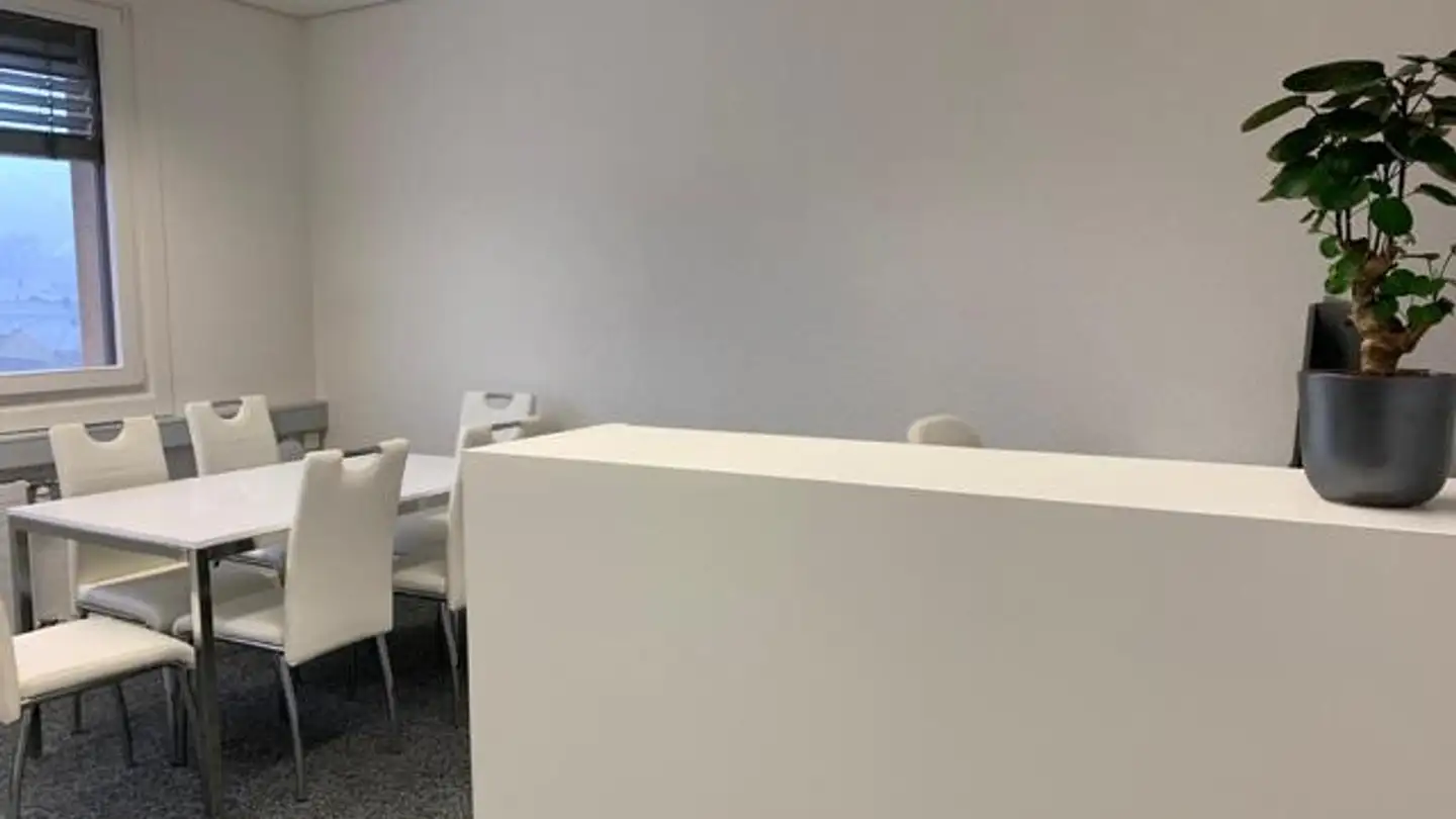 Gewerbe mieten - Bahnhofplatz 10, 8853 Lachen SZ - Foto 4