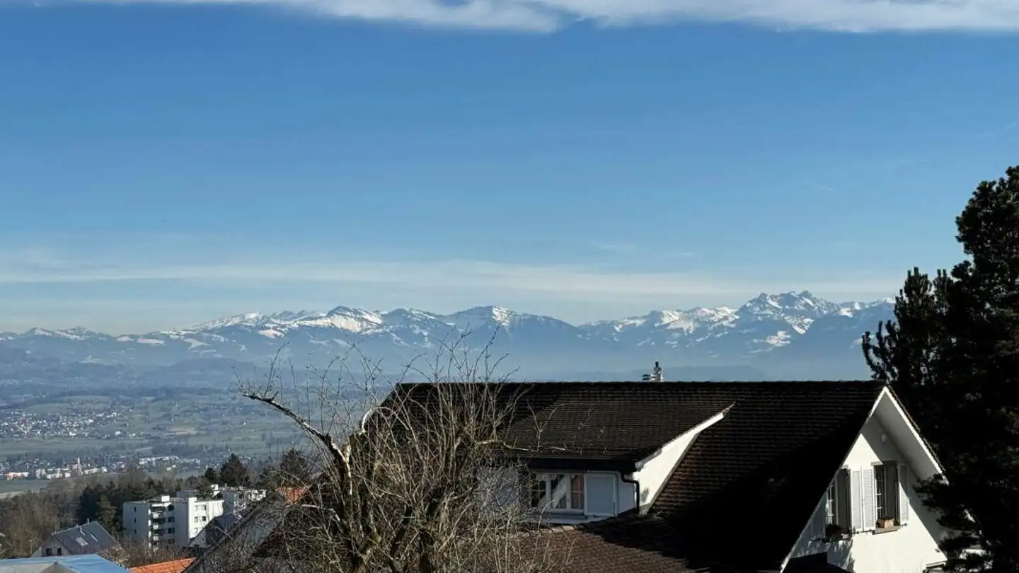 Penthouse kaufen - Guldenenstrasse, 8127 Forch