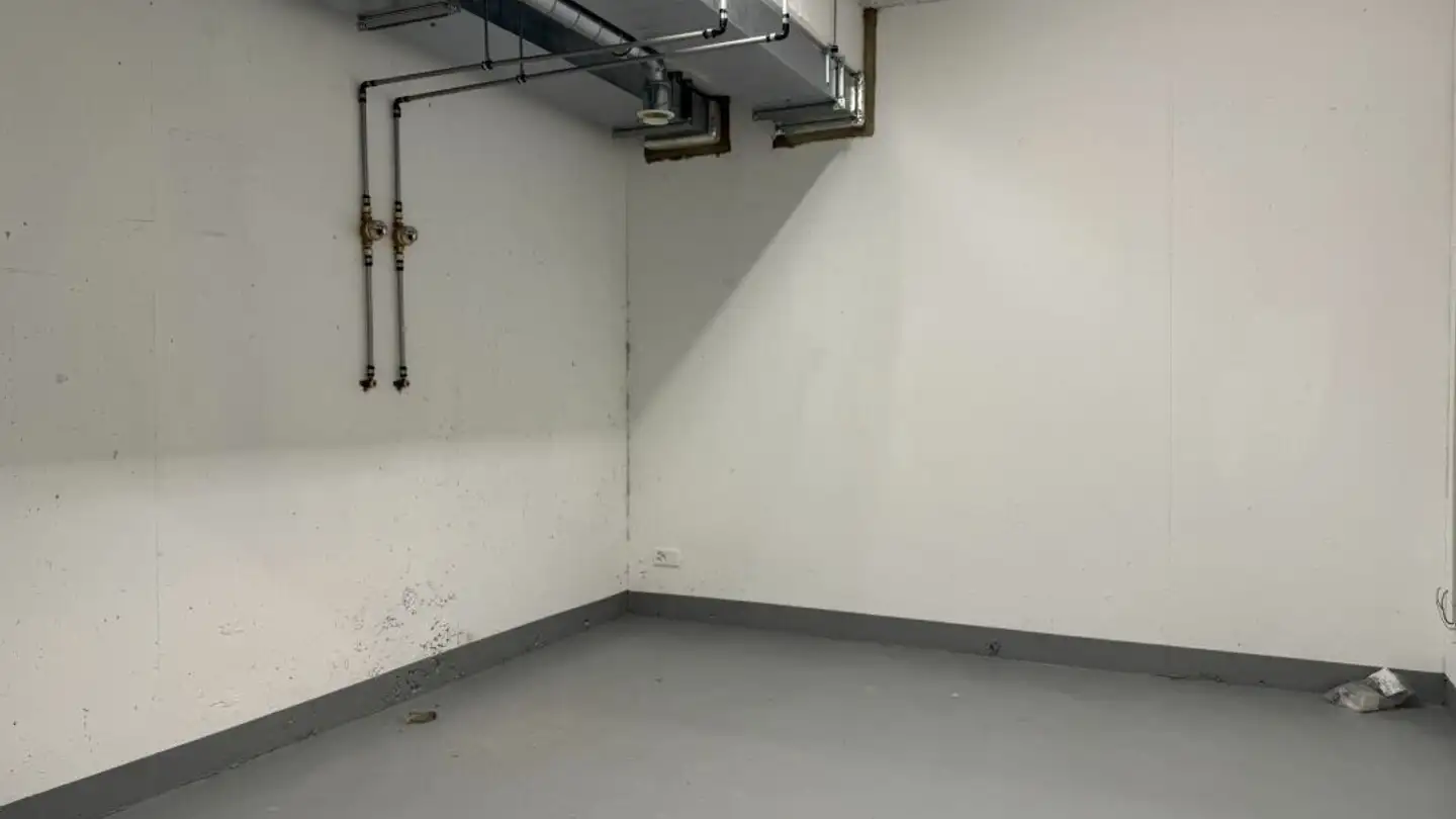 Espace de stockage à louer - Ziegeleistrasse 6, 8572 Berg TG - Photo 4