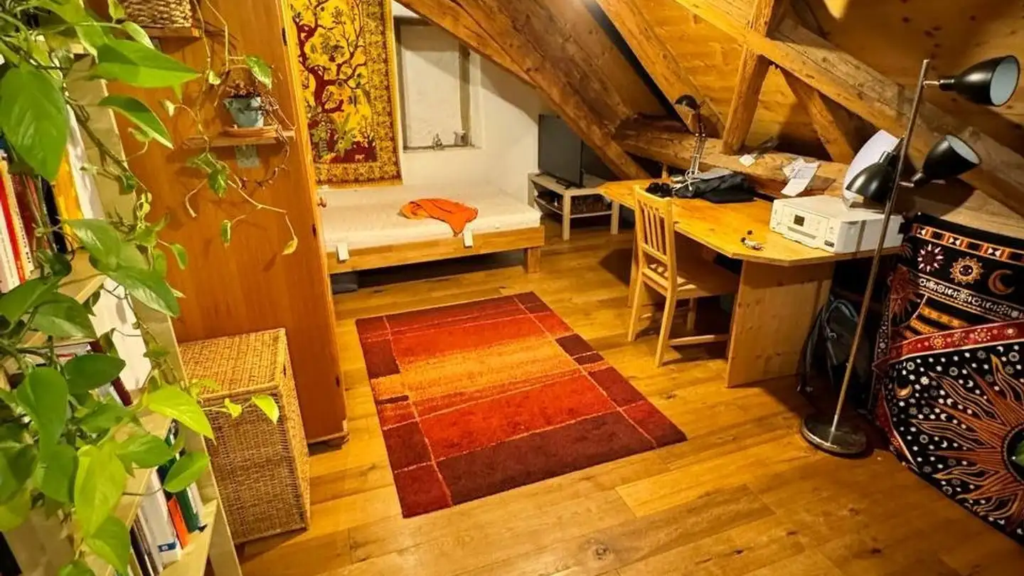 Single room for rent - Obere Hofstatt 23, 5200 Brugg AG