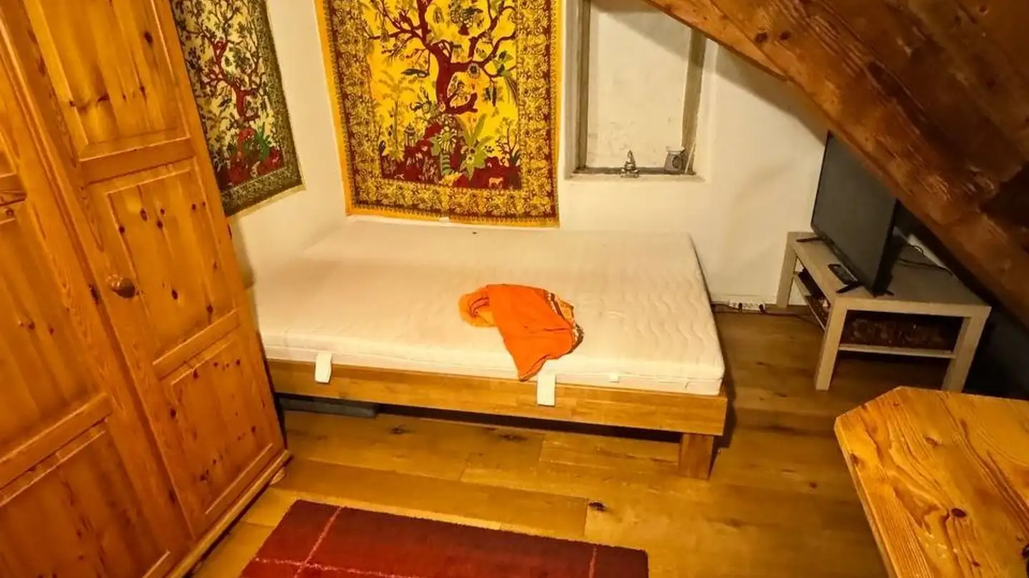 Single room for rent - Obere Hofstatt 23, 5200 Brugg AG - Photo 2