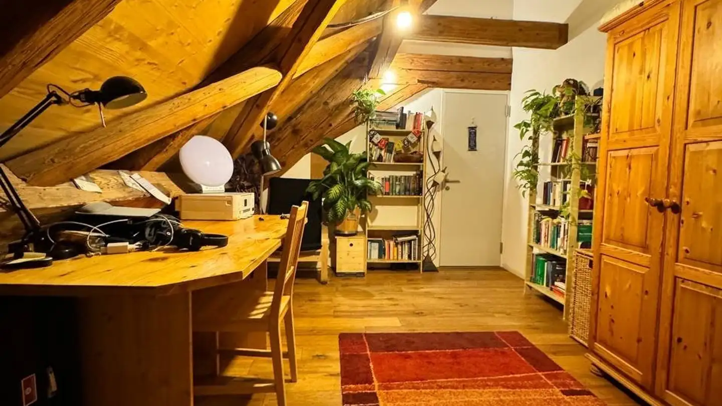 Single room for rent - Obere Hofstatt 23, 5200 Brugg AG - Photo 3