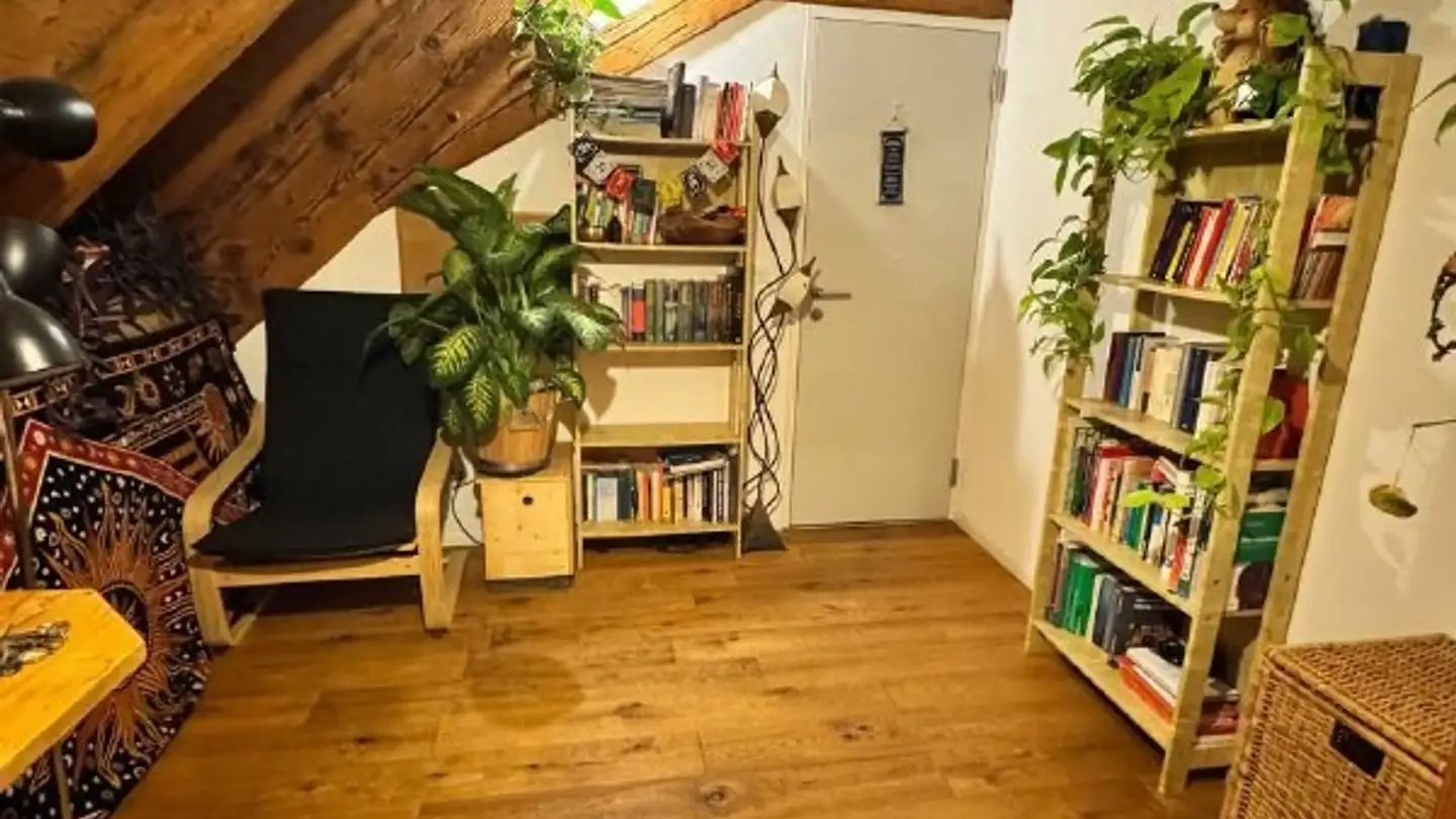 Single room for rent - Obere Hofstatt 23, 5200 Brugg AG - Photo 4