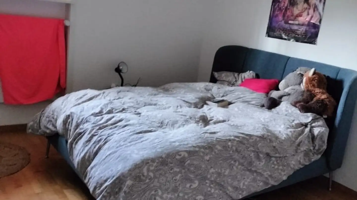 Appartamento in affitto - Chemin Des Mosaïques, 1565 Vallon - Foto 3