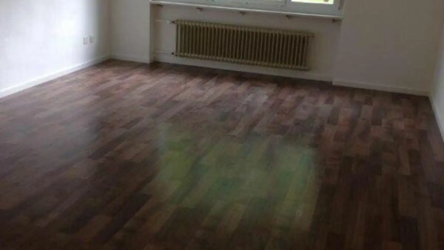 Appartamento in affitto - Rorschacherstrasse 53a, 9424 Rheineck - Foto 3