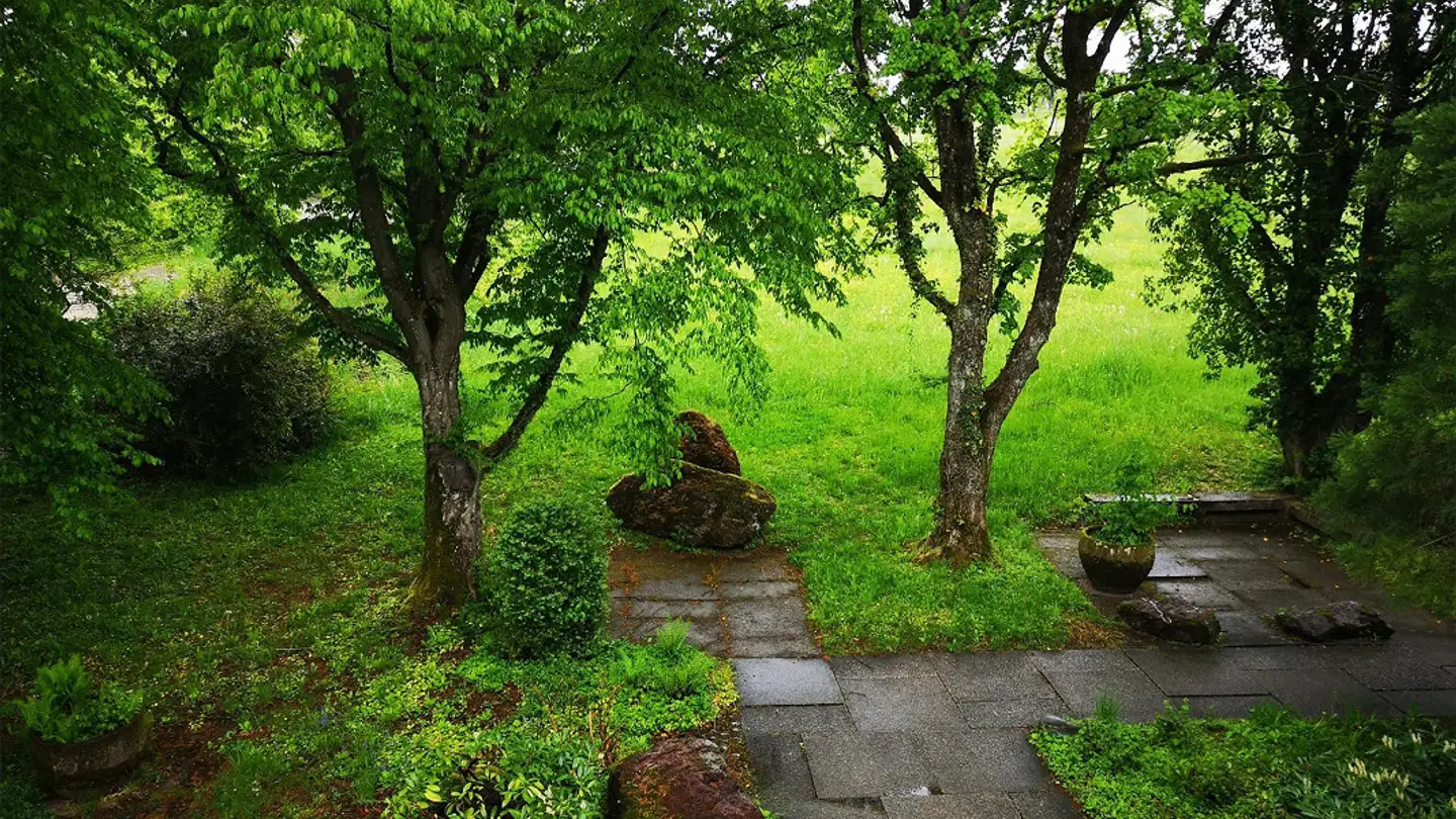 Apartment for rent - Stodolastrasse 15, 8053 Zürich