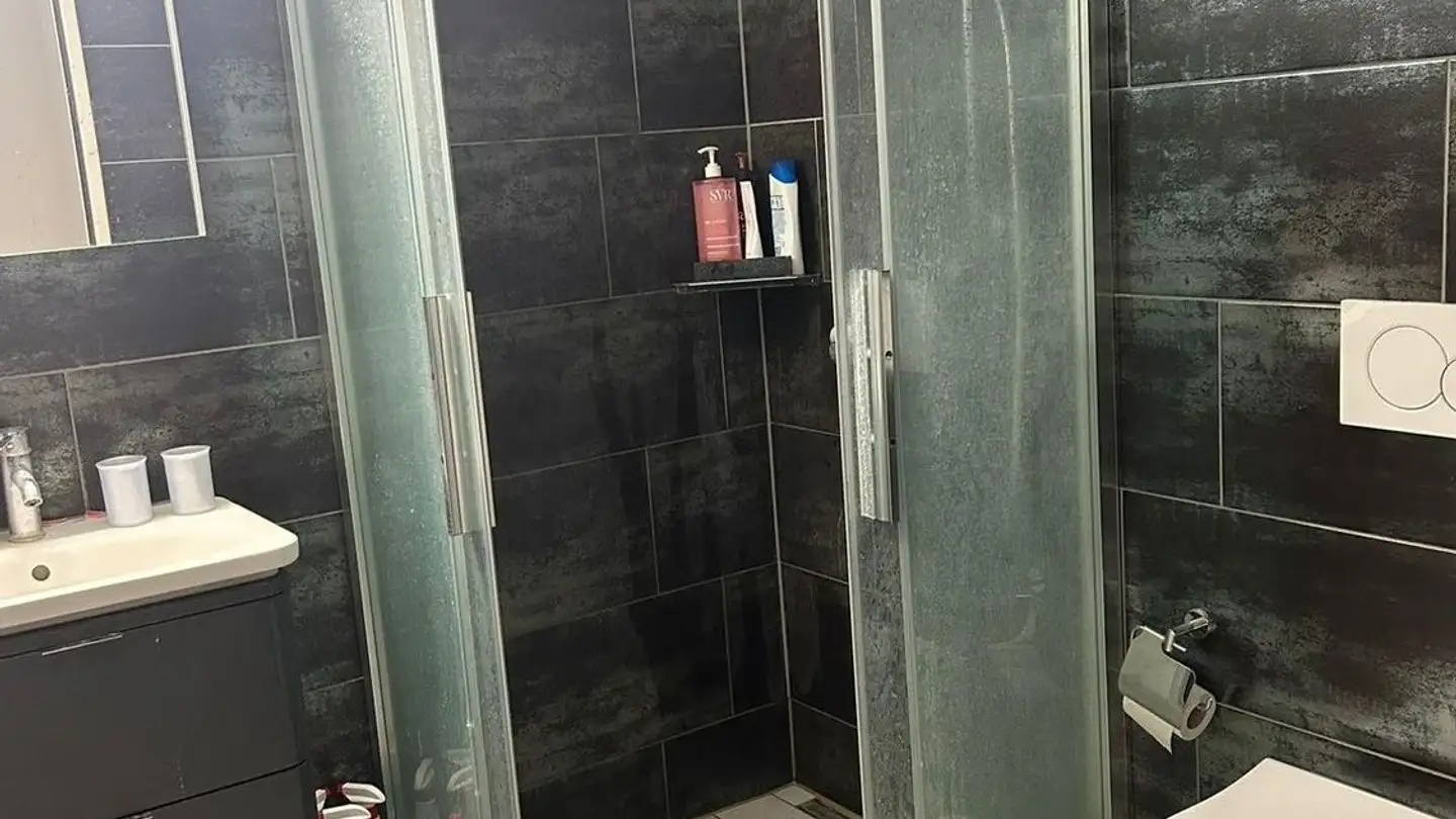 Appartamento in affitto - Neugutstrasse 3, 8304 Wallisellen - Foto 2