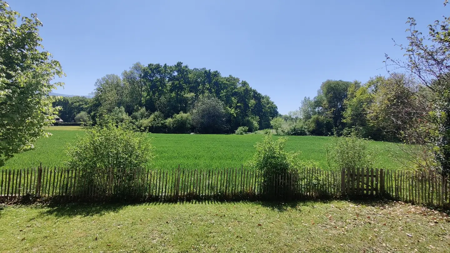 Villa in affitto - 1228 Plan-les-Ouates