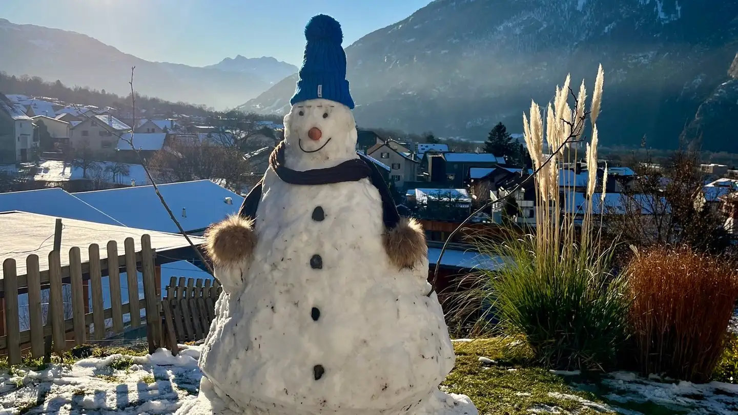 Casa singola in affitto - 7000 Chur