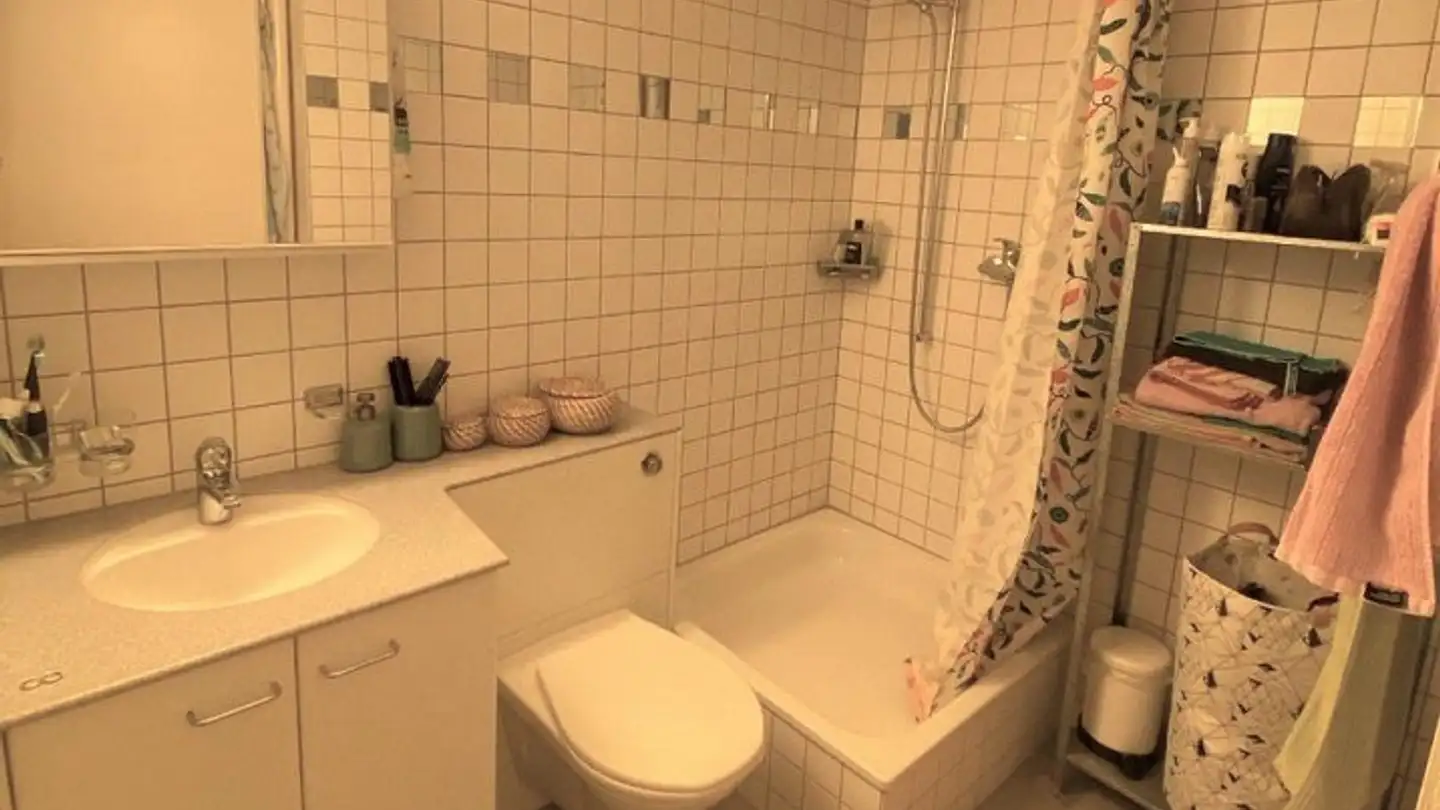 Appartamento in affitto - Davidsbodenstrasse 28, 4056 Basel - Foto 3