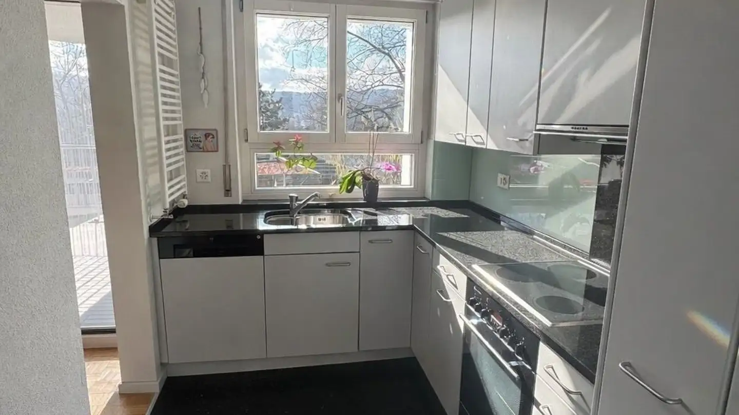 Wohnung mieten - Winzerstrasse 49, 8049 Zürich