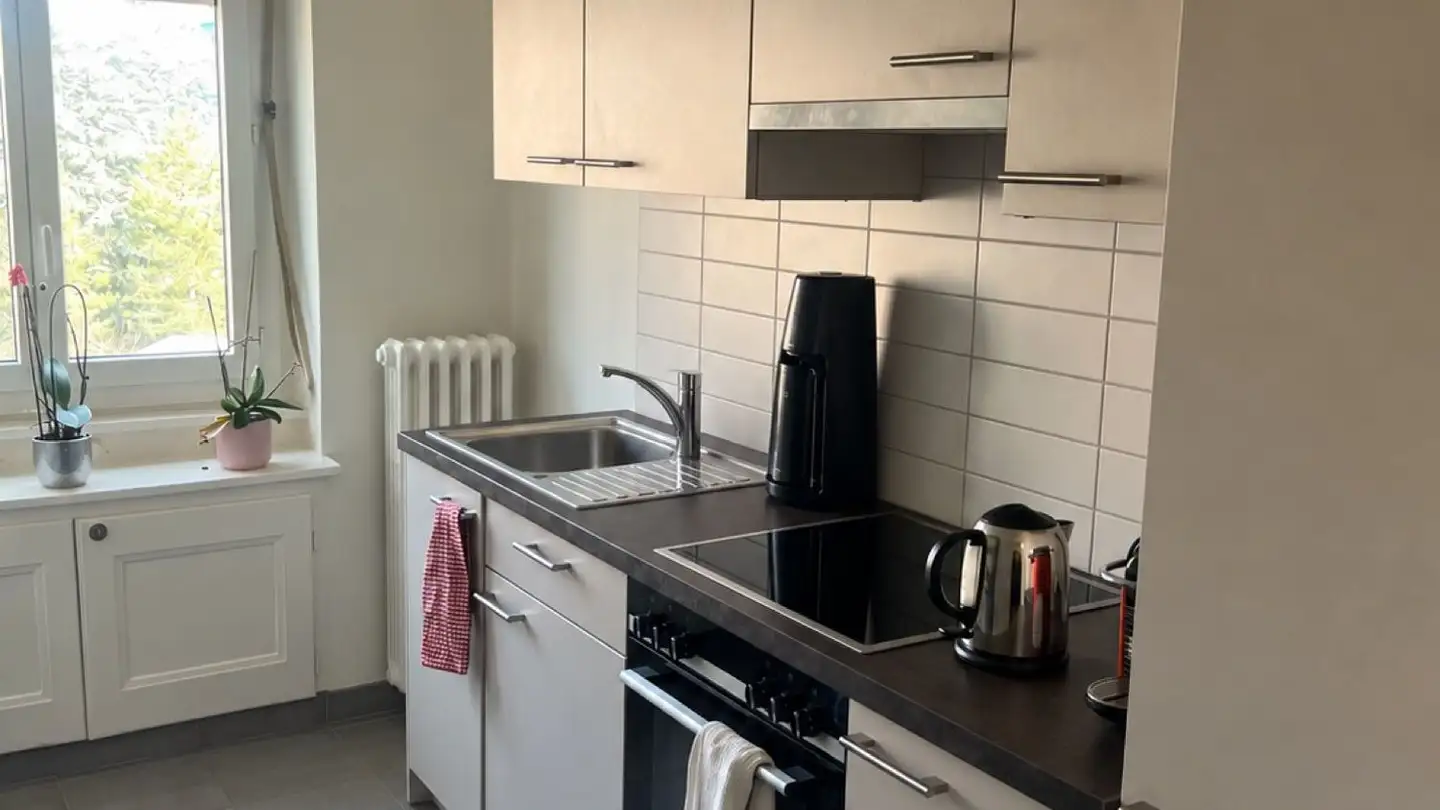 Appartement à louer - Rue Des Confessions, 1203 Genève - Photo 3