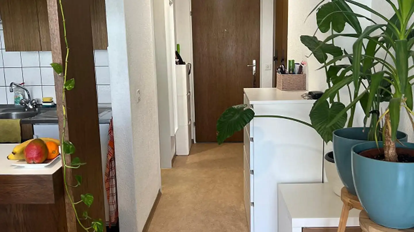 Appartamento in affitto - Wiesentalstrasse 95, 7000 Chur - Foto 4