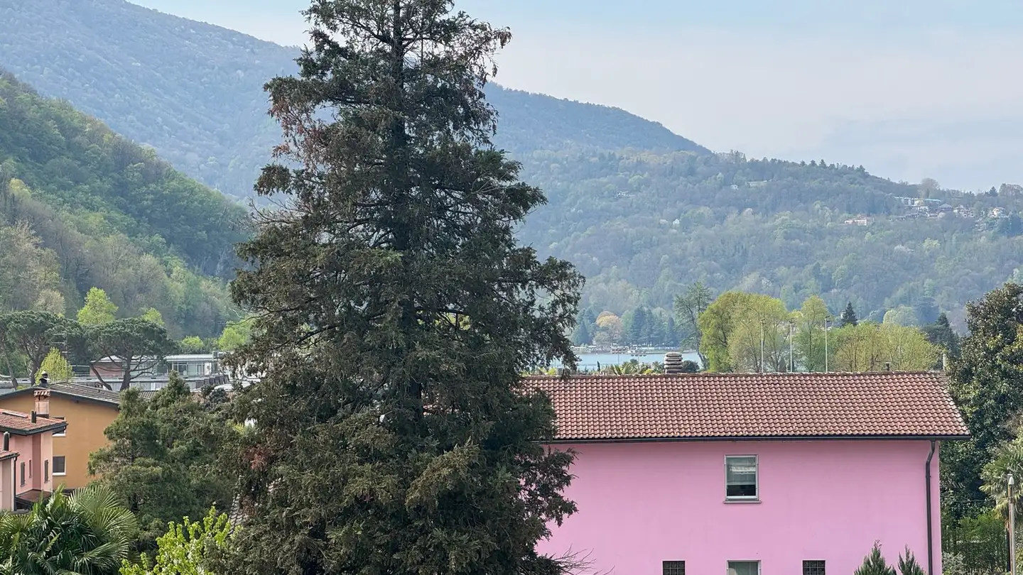 Attico in vendita - 6987 Caslano