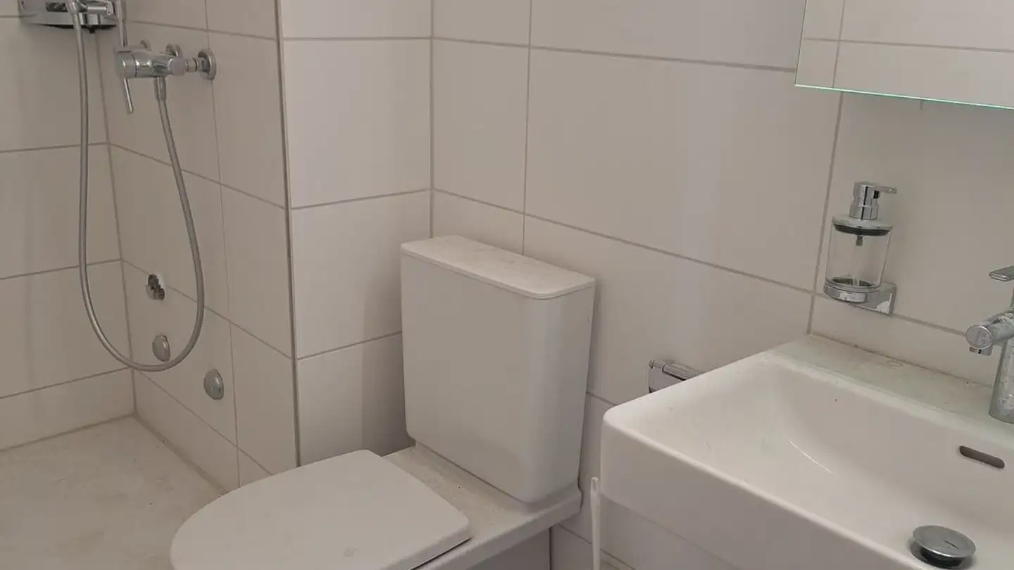 Apartment for rent - Pilatusstrasse 33, 5737 Menziken - Photo 3