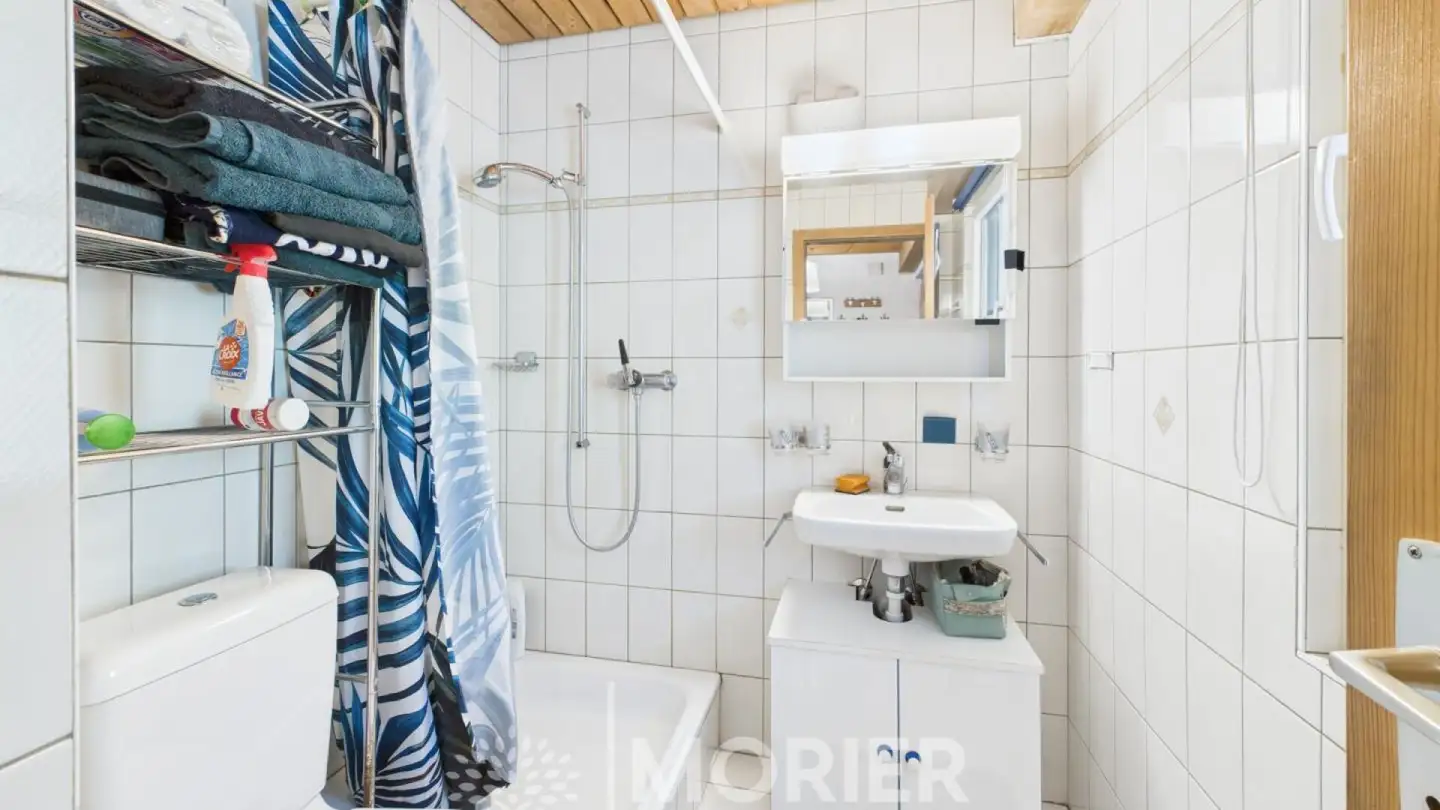 Duplex for sale - Route Du Lézard, 1663 Moléson-sur-Gruyères - Photo 3