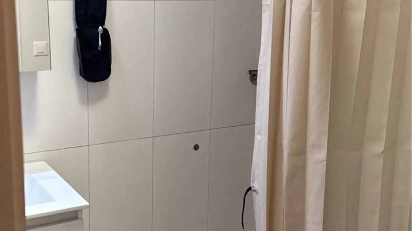 Appartement à louer - Chemin Des Lentillières, 1023 Crissier - Photo 4