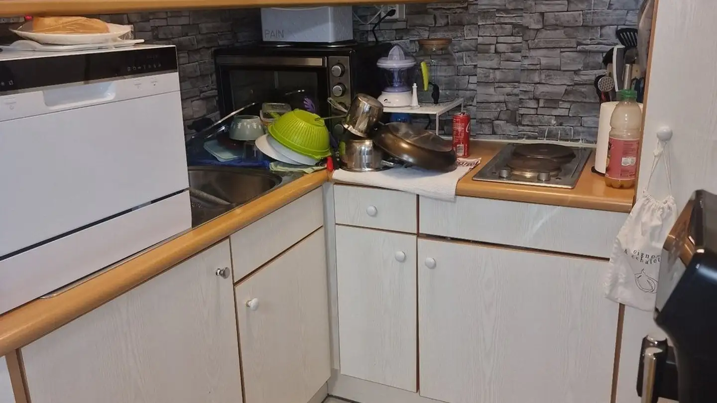 Appartement à louer - Rue Emile- Yung 3, 1205 Genève - Photo 2