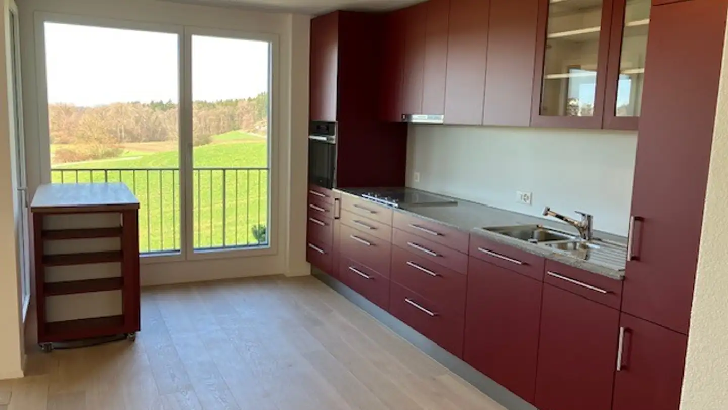 Appartamento in affitto - Hägenbüel, 8308 Illnau - Foto 4
