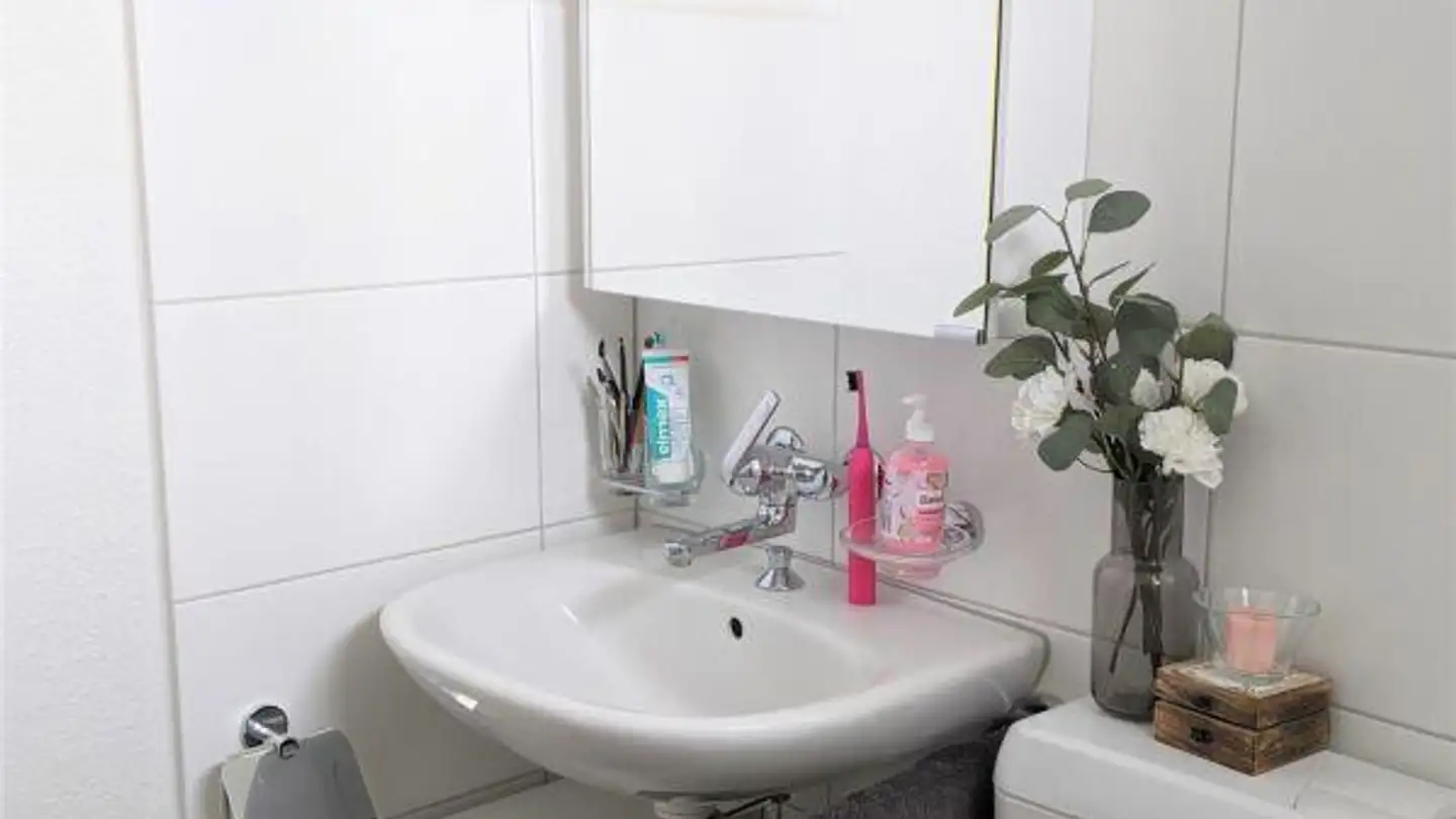 Appartement à louer - Büsingerstrasse, 8203 Schaffhausen - Photo 3