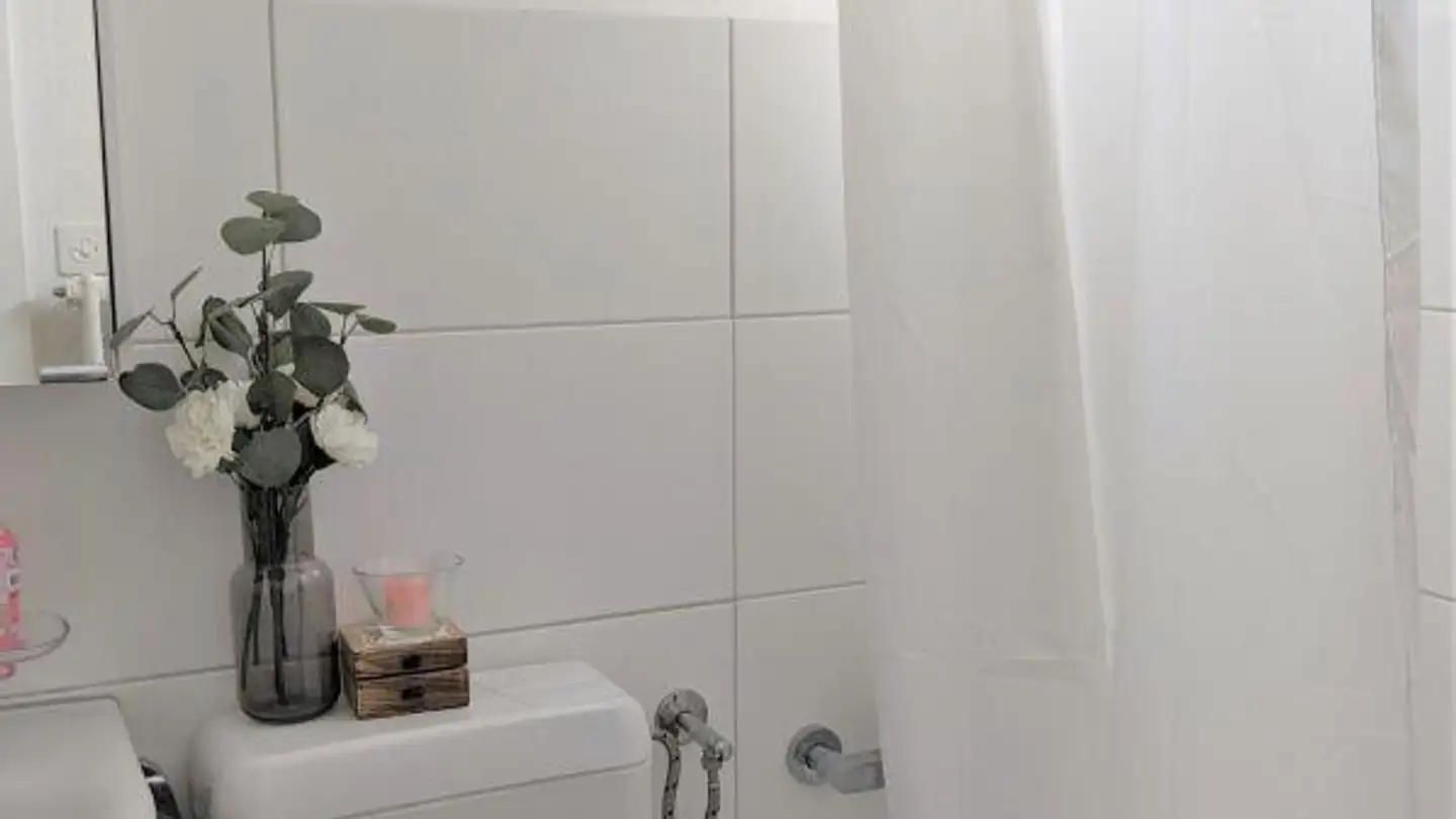 Appartement à louer - Büsingerstrasse, 8203 Schaffhausen - Photo 4