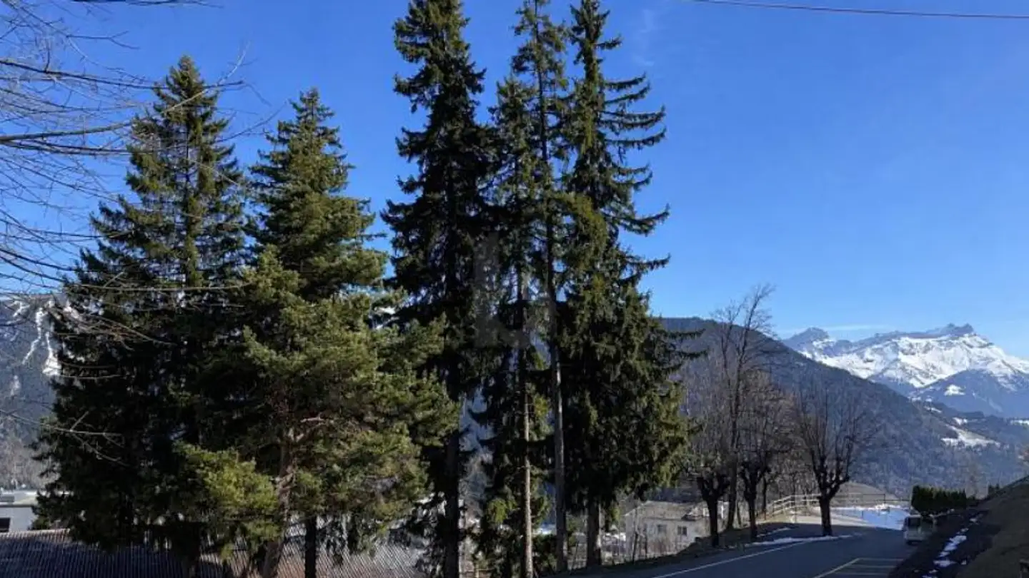 Restaurant for sale - 1854 Leysin - Photo 2