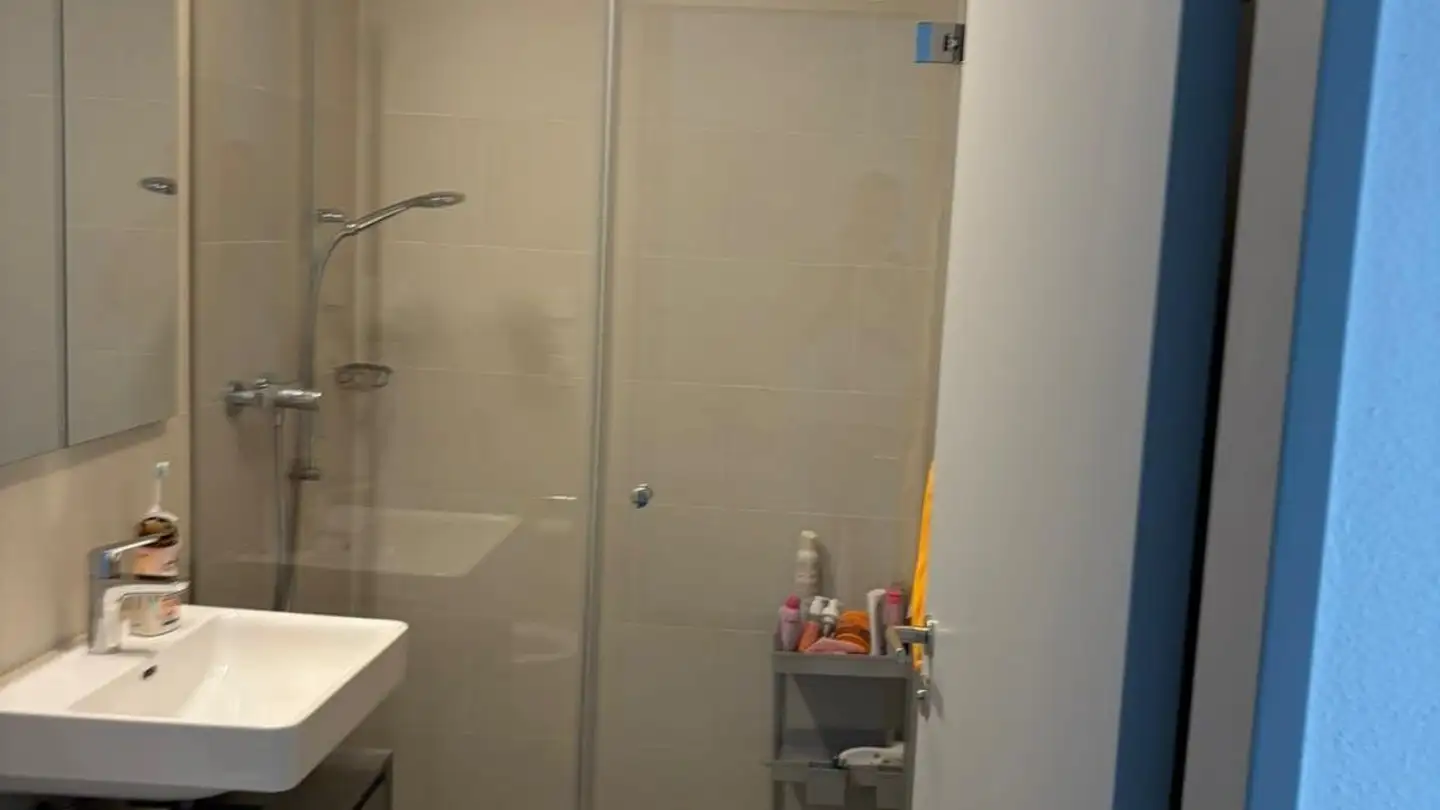 Appartamento in affitto - Dörflistrasse 4, 5706 Boniswil - Foto 4