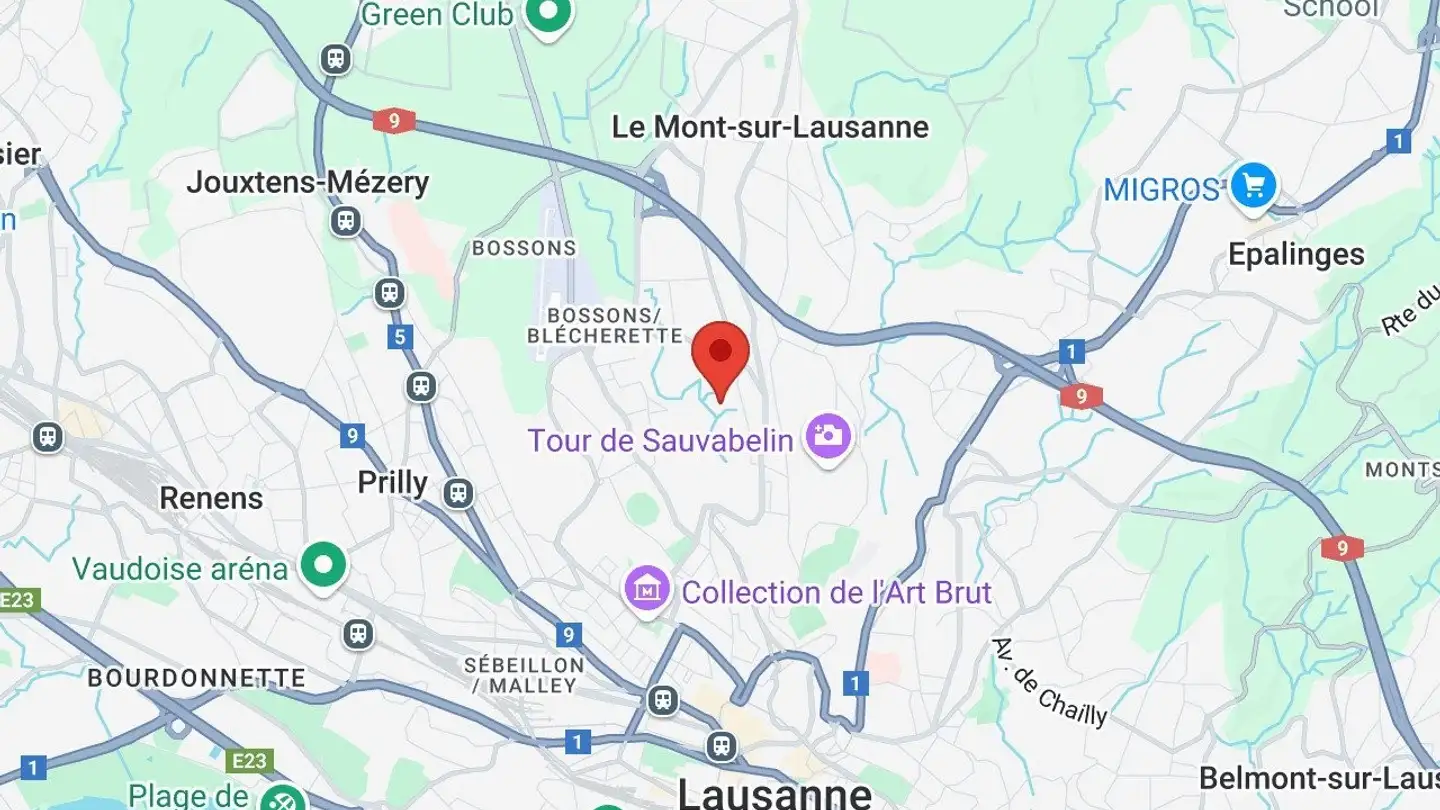 Commerciale in affitto - Chemin D'entre-Bois 29a, 1018 Lausanne - Foto 4