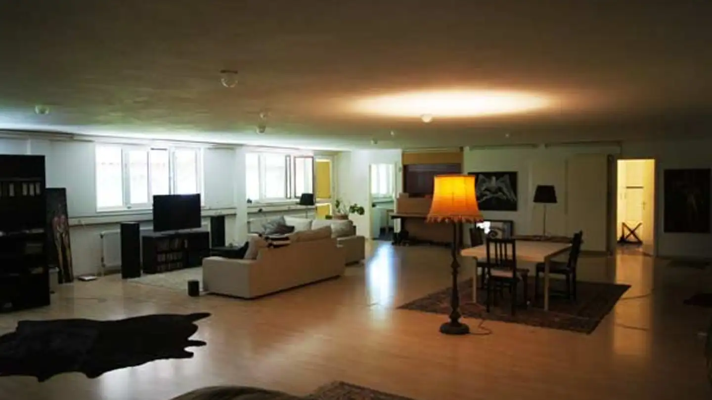 Loft for rent - Uerschhauserstrasse 4, 8537 Nussbaumen TG - Photo 2