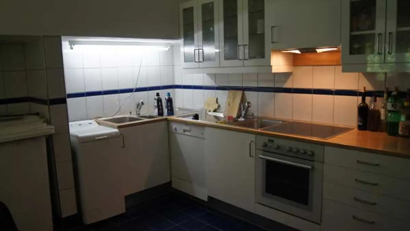 Loft for rent - Uerschhauserstrasse 4, 8537 Nussbaumen TG - Photo 3