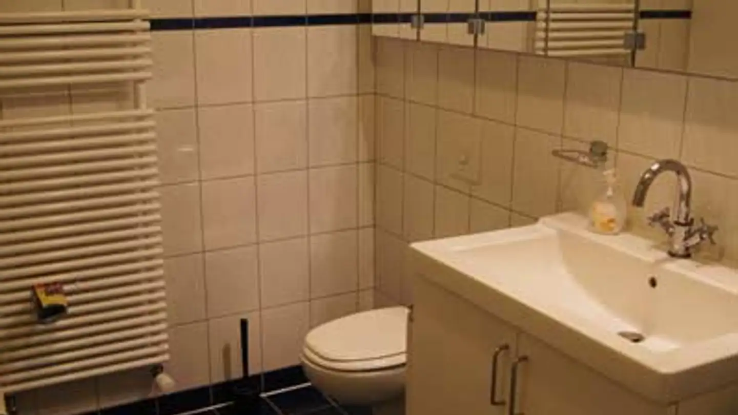 Loft for rent - Uerschhauserstrasse 4, 8537 Nussbaumen TG - Photo 4