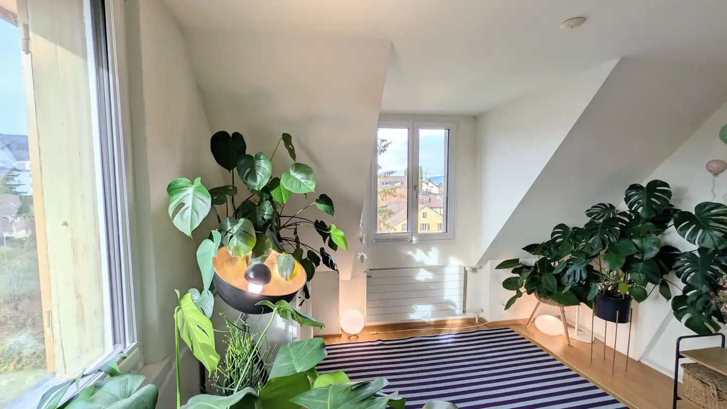 Appartement à louer - Oberdorfstrasse 51, 8953 Dietikon