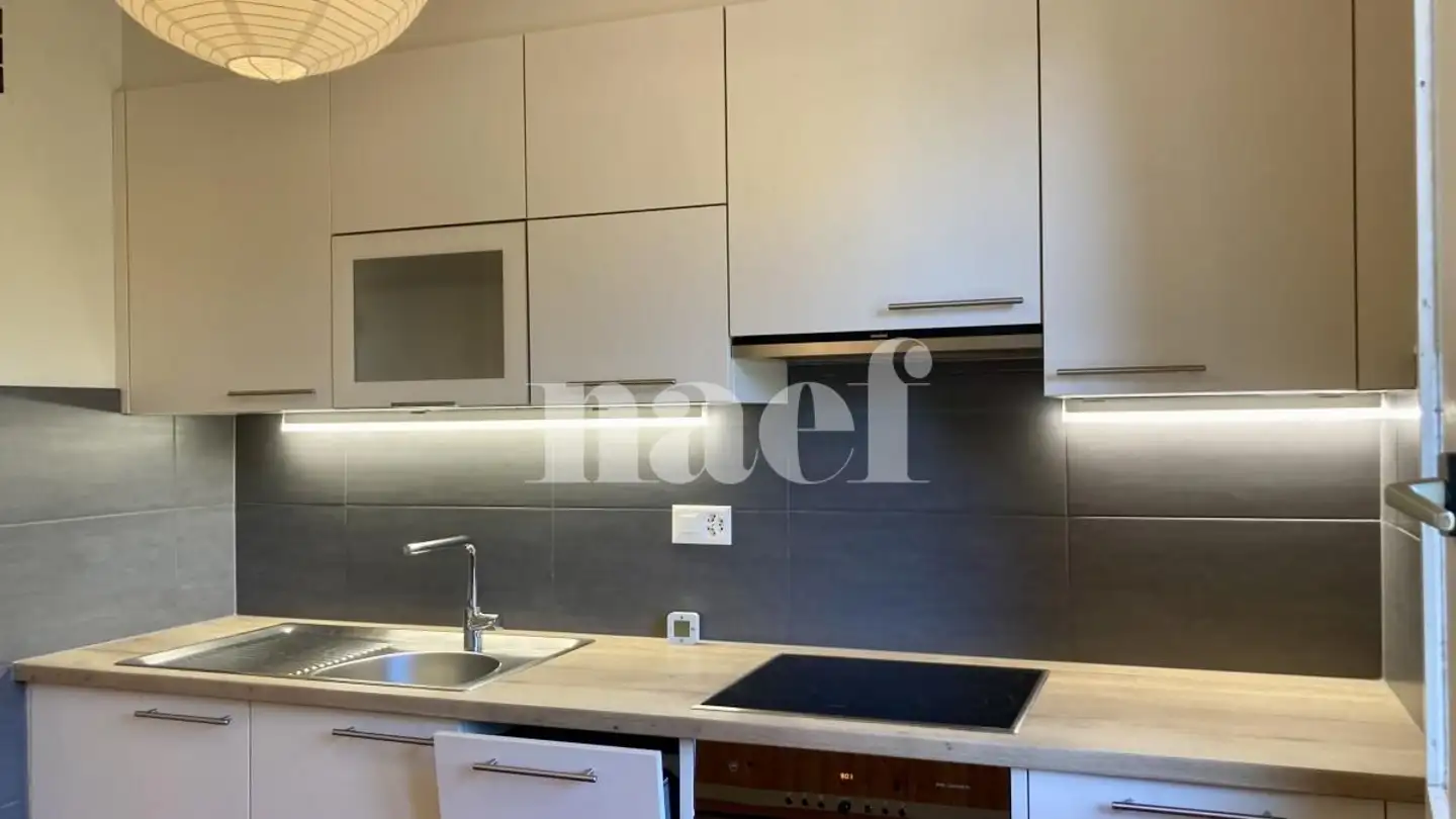 Apartment for rent - Chemin Des Lilas-Blancs 16, 1225 Chêne-Bourg - Photo 4