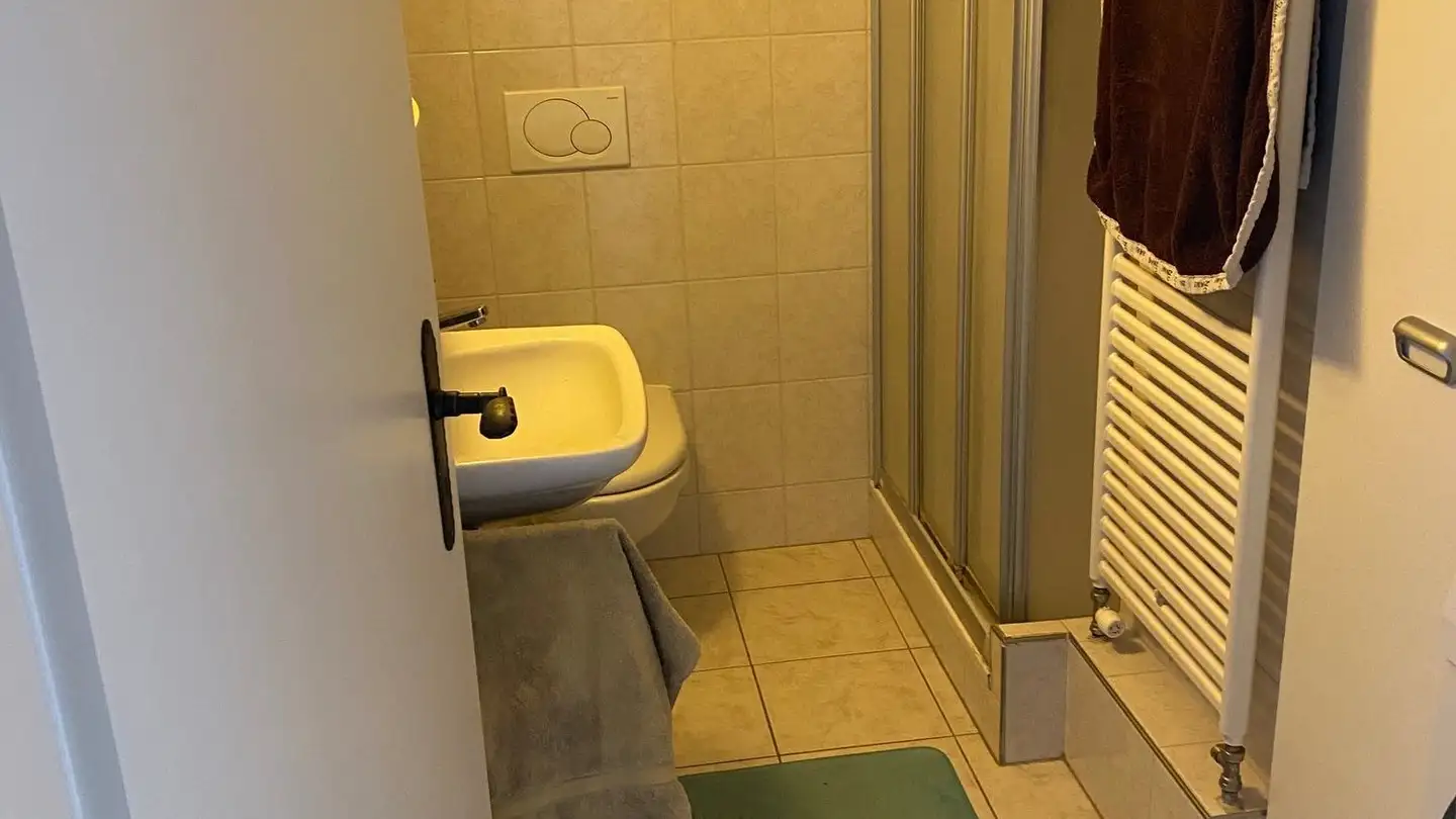 Attic flat for rent - Seestrasse 70, 5712 Beinwil am See - Photo 3