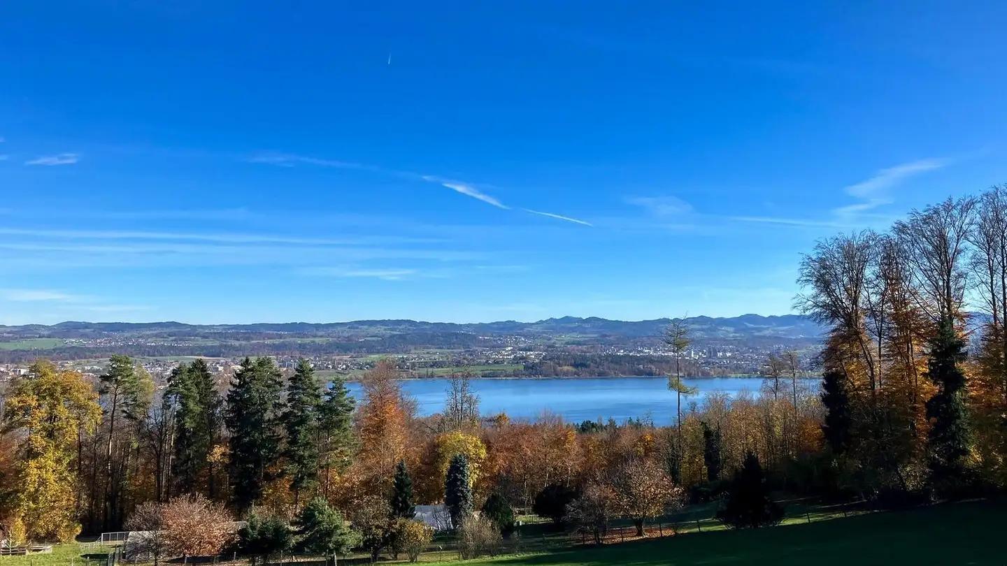 Furnished apartment for rent - Chalenstrasse 86, 8123 Ebmatingen - Photo 2