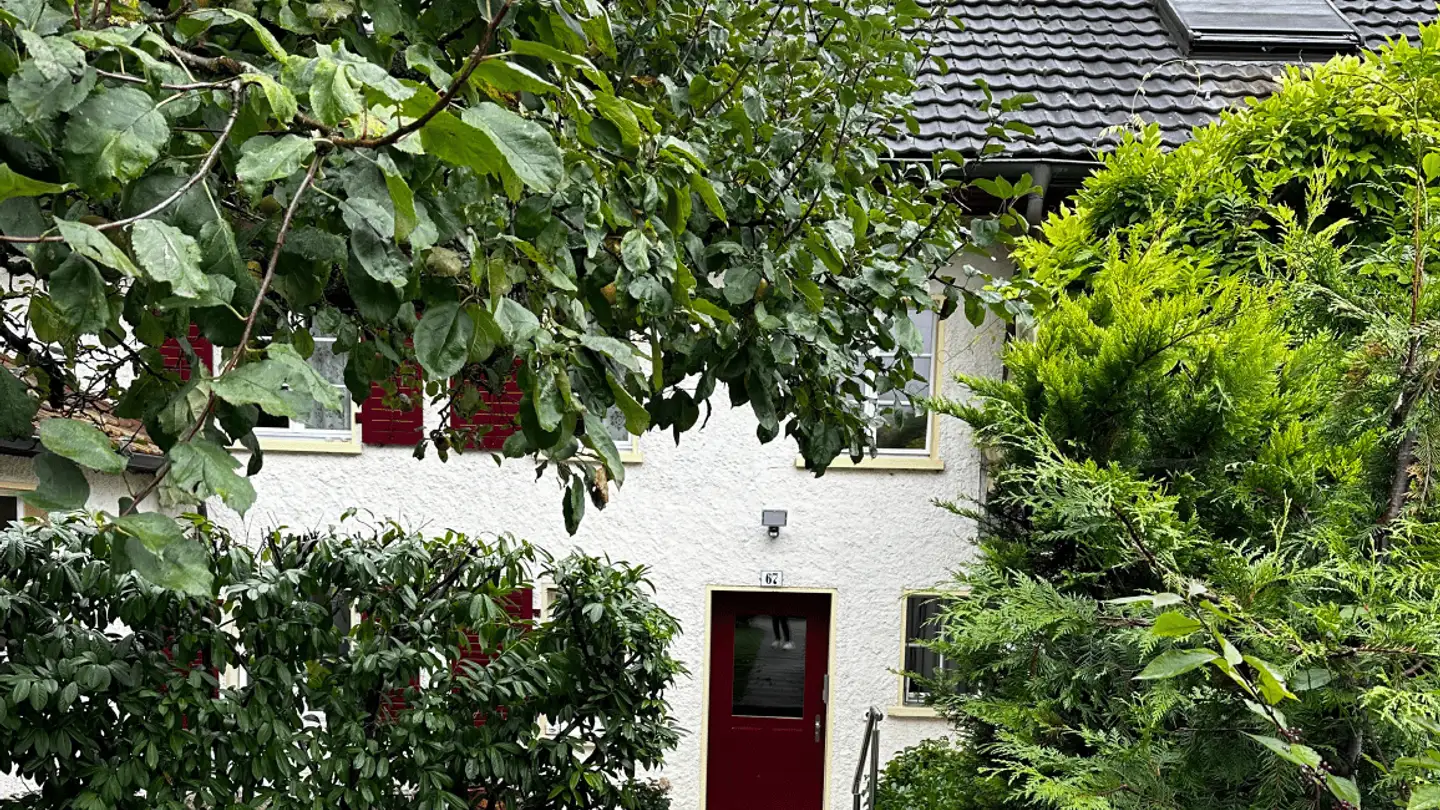 Attic flat for rent - Allmendstrasse 67, 4500 Solothurn