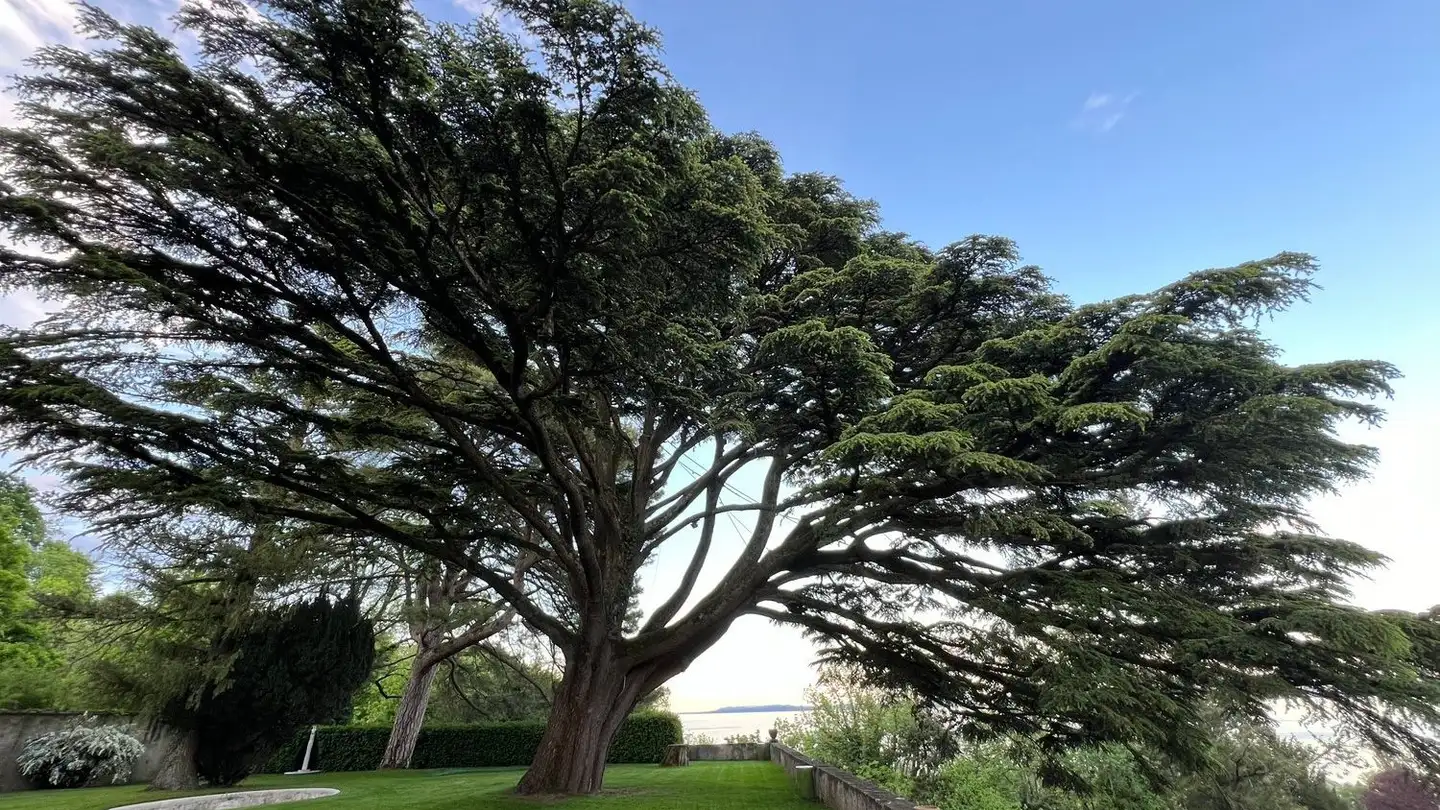 Office space for rent - Le Château 3, 2028 Vaumarcus - Photo 4