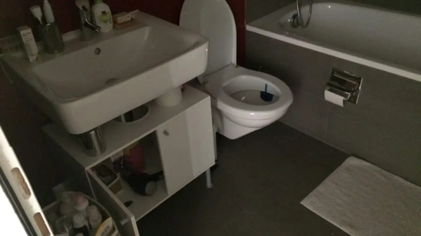 Appartamento in affitto - 1009 Pully - Foto 3