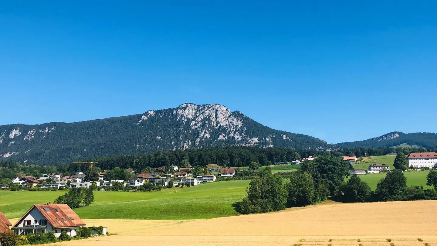 Appartement à louer - Mattenstrasse 19, 4533 Riedholz - Photo 2