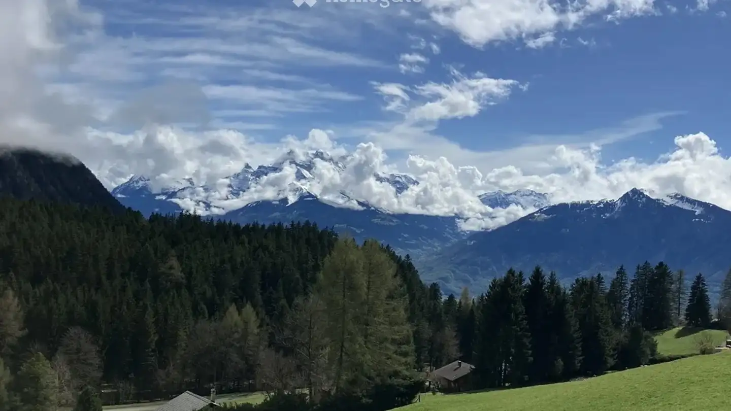 Single house for sale - 1860 Aigle - Photo 4