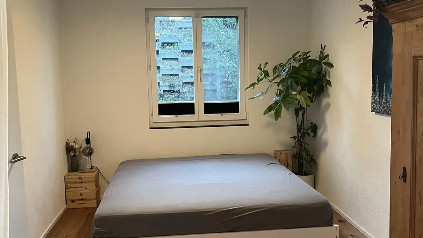 Single room for rent - 8964 Rudolfstetten - Photo 3