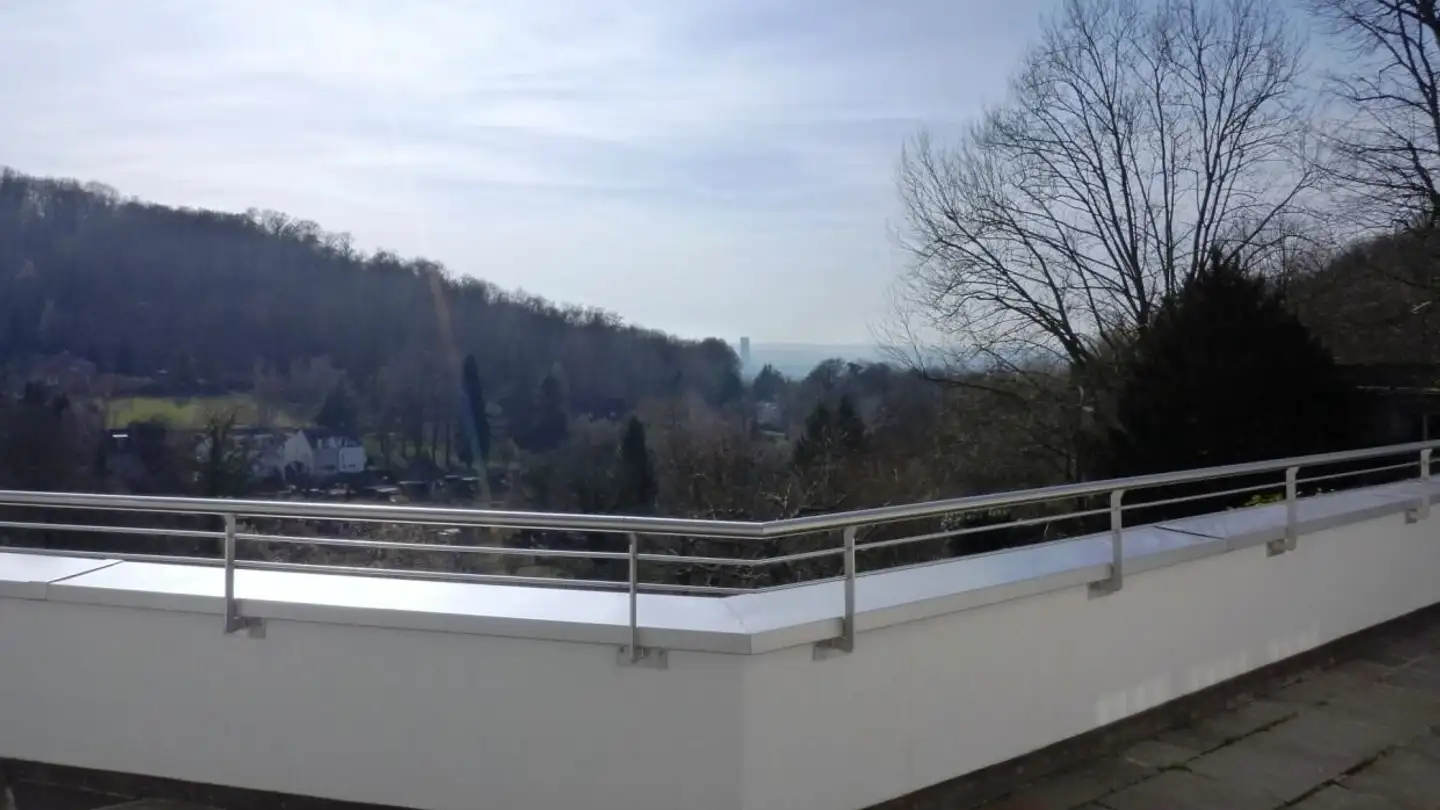 Maison individuelle à louer - Im Wenkenberg 4, 4125 Riehen - Photo 3