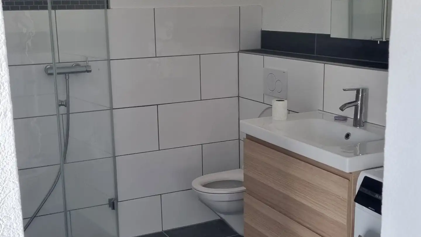 Studio in affitto - 4202 Duggingen - Photo 2