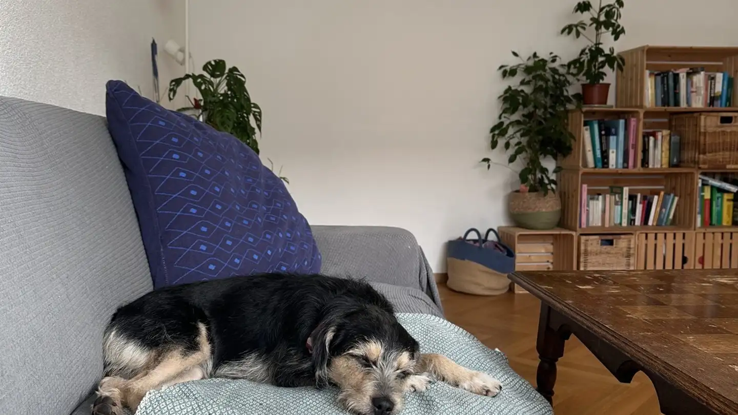 Single room for rent - 3008 Bern - Photo 2