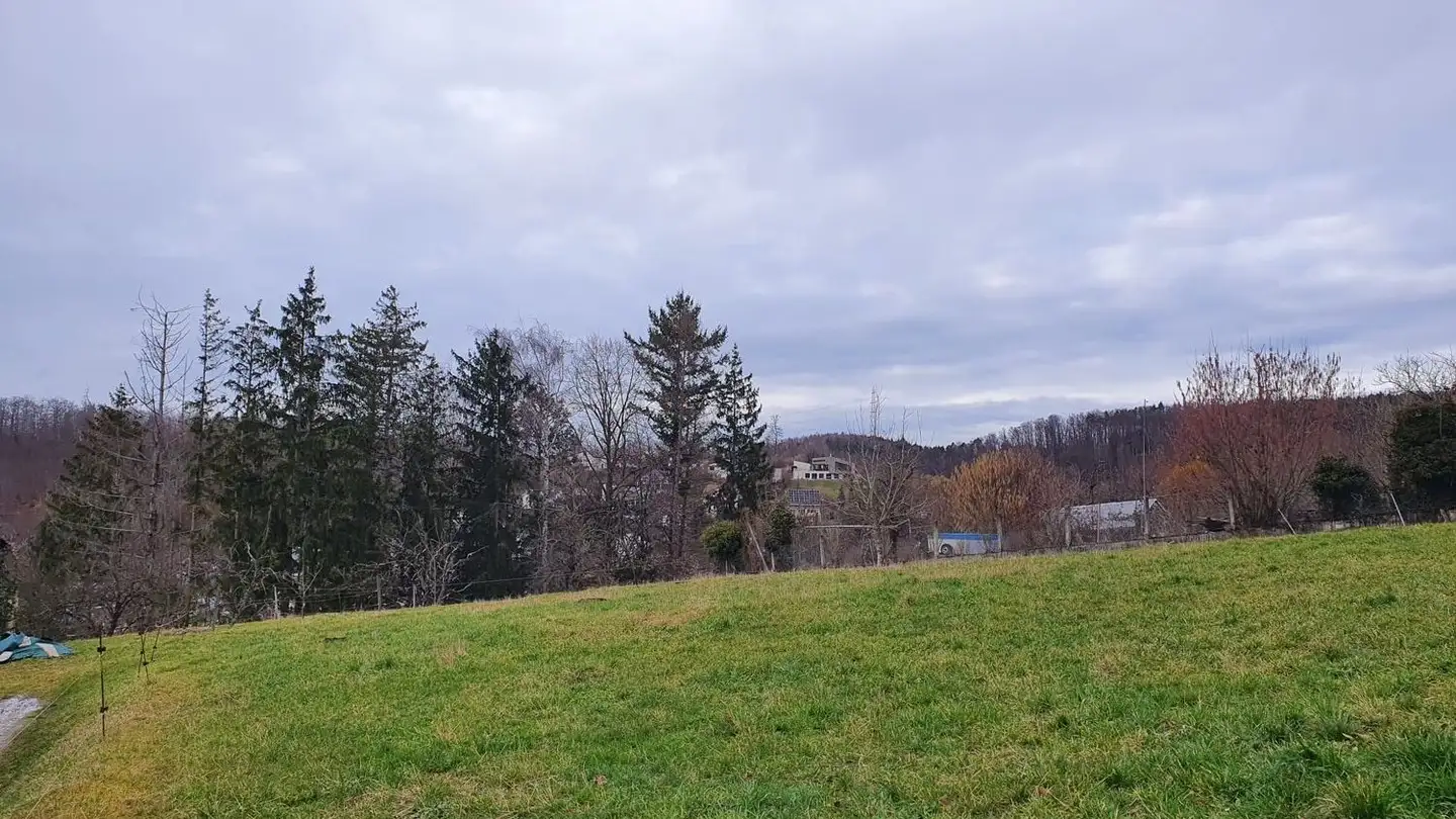 Terrain constructible à vendre - Eggstrasse, 4433 Ramlinsburg - Photo 2